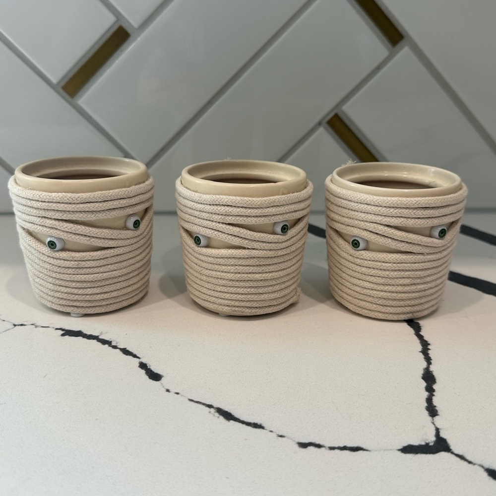 Set of Three Mummy Planters